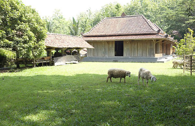 Berkunjung ke Kebun Bumi Langit